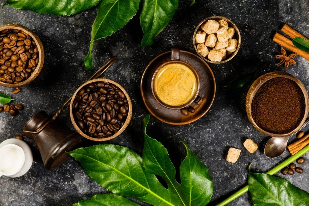 Biology Of Coffee, How Coffee Affects The Brain, Body, And Health - Evora Greens
