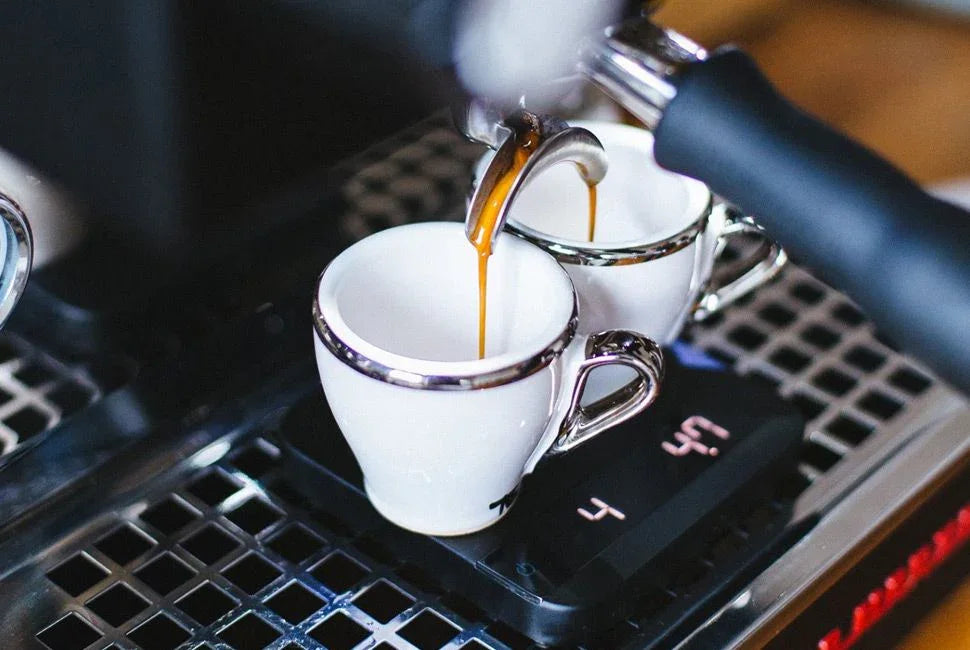 Brewing coffee is pocket friendly! - Evora Greens